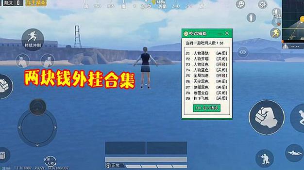 手机和平精英辅助透视